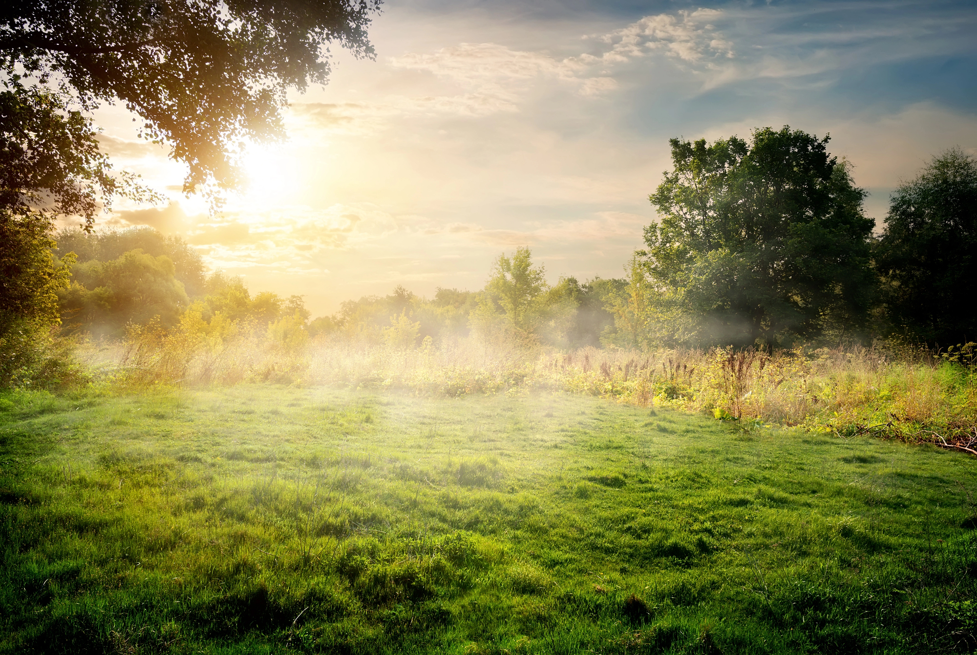 Sunlight shines through trees onto a grassy field with mist rising, under a partly cloudy sky in a natural outdoor setting.
