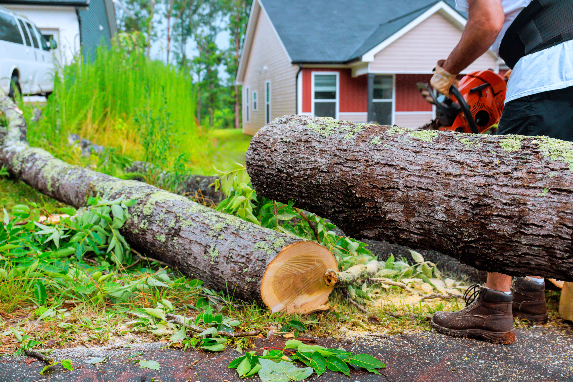 Person using a chainsaw to cut a fallen tree in front of a house, with branches and leaves scattered on the ground.