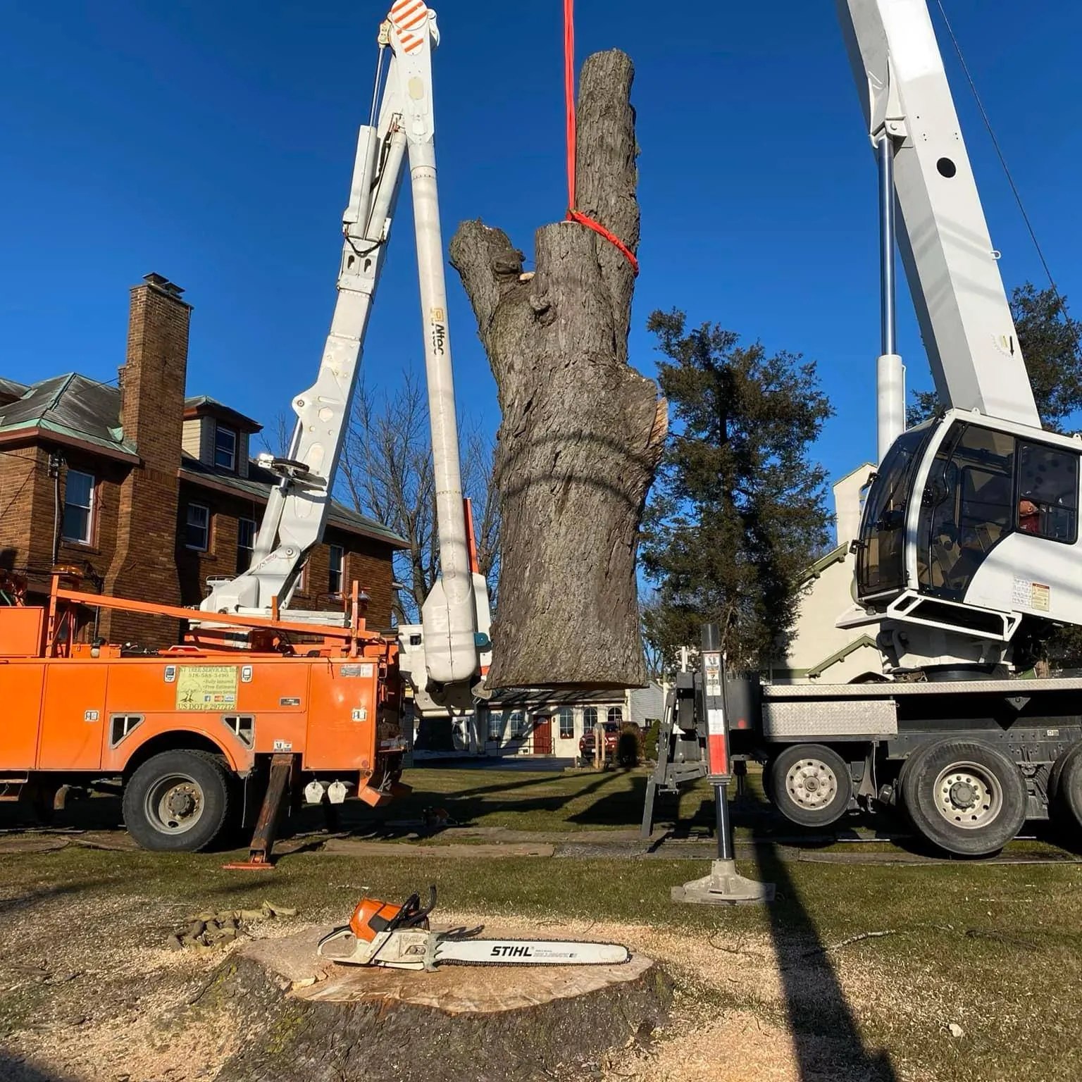 A large tree trunk section is lifted by two cranes while the stump and a chainsaw remain on the ground beside utility trucks in a residential area.